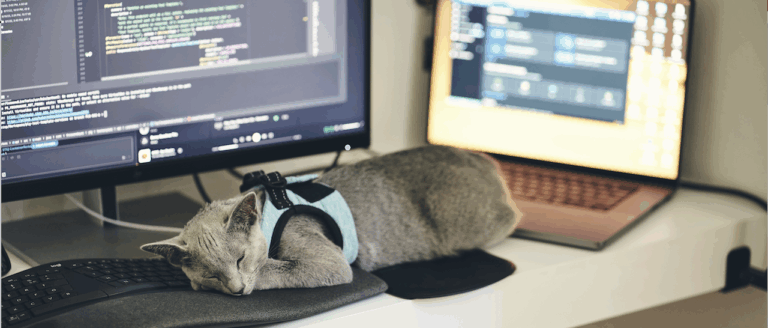 cat-sleeping-on-keyboard