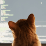 Vibe Coding by a Cat