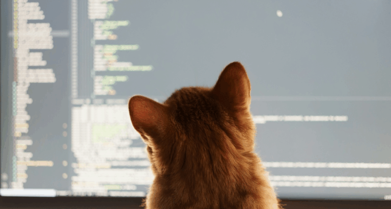 Vibe Coding by a Cat